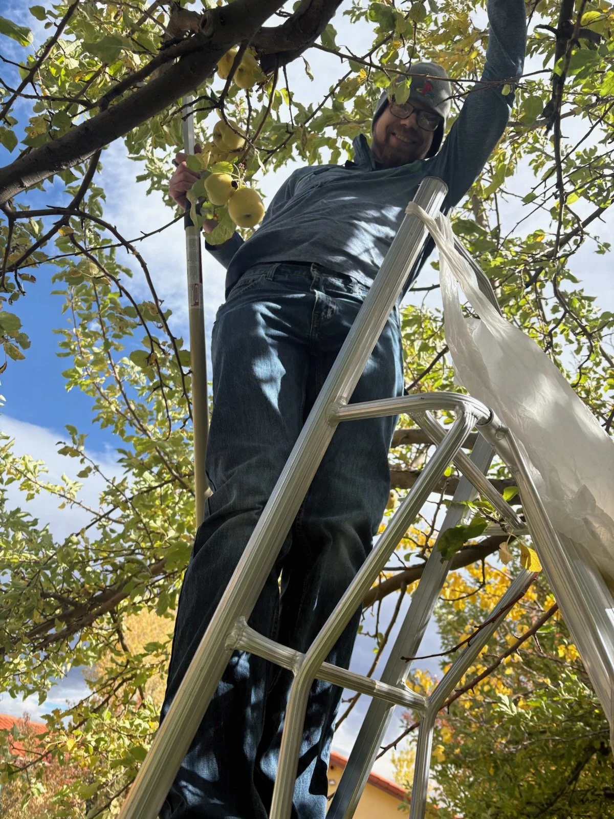 Blaise Jorgensen, candidate for Washoe County Public Administrator,  standing on a ladder picking apples from a tree. Blaise is smiling, wearing glasses, a cap, and casual clothes. The sky is partly cloudy.
