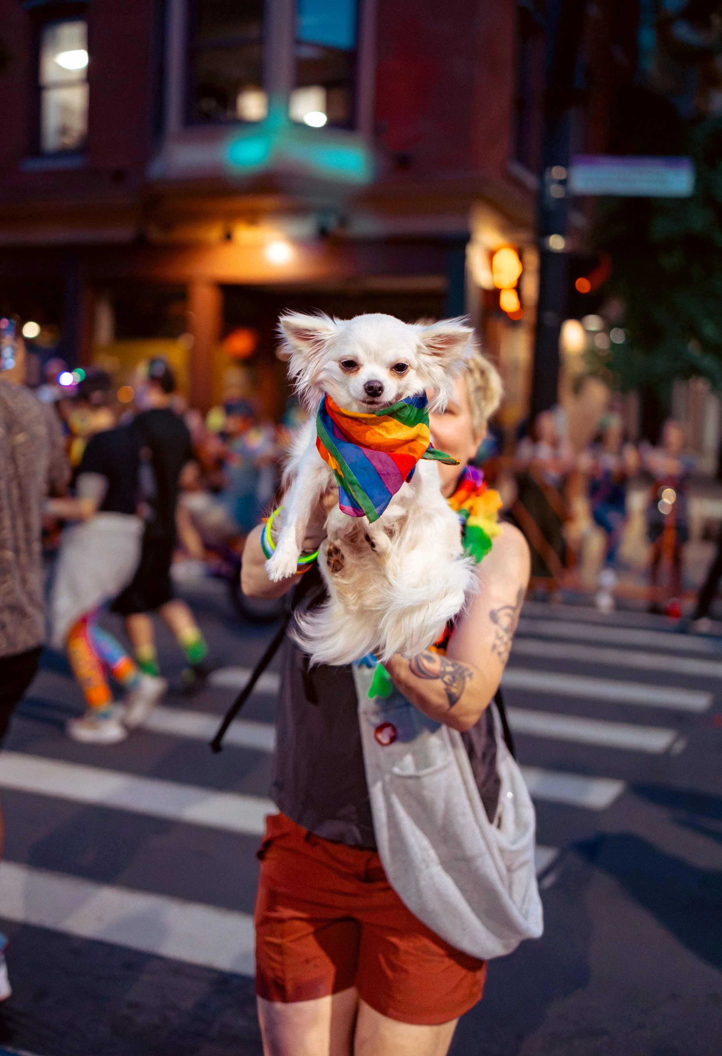 A person holding a small white dog wearing a rainbow-colored bandana at a Pride event at night with a crowd in the background.