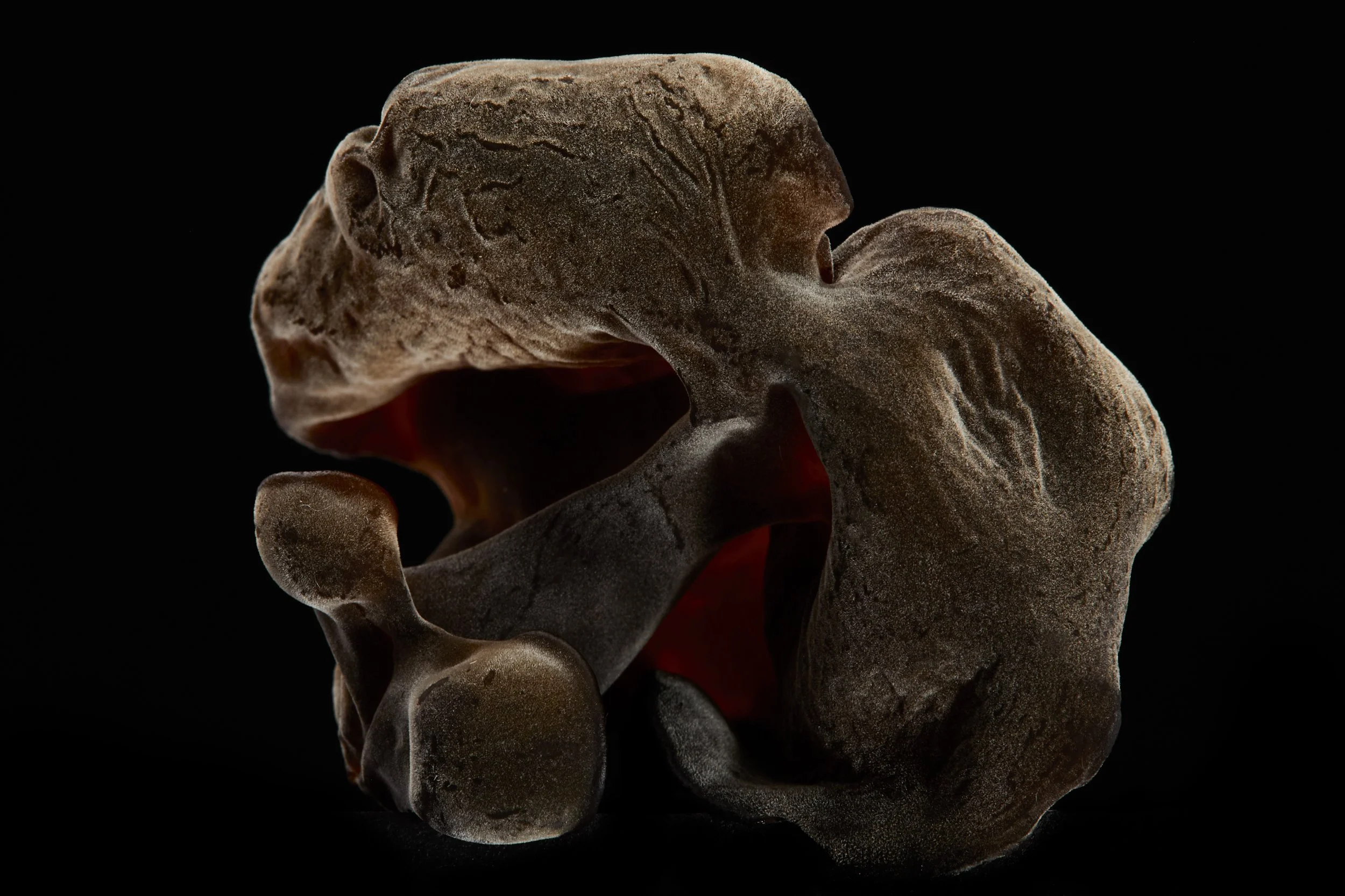 2025_8_15_VegetablesandFruit5396 1.jpg