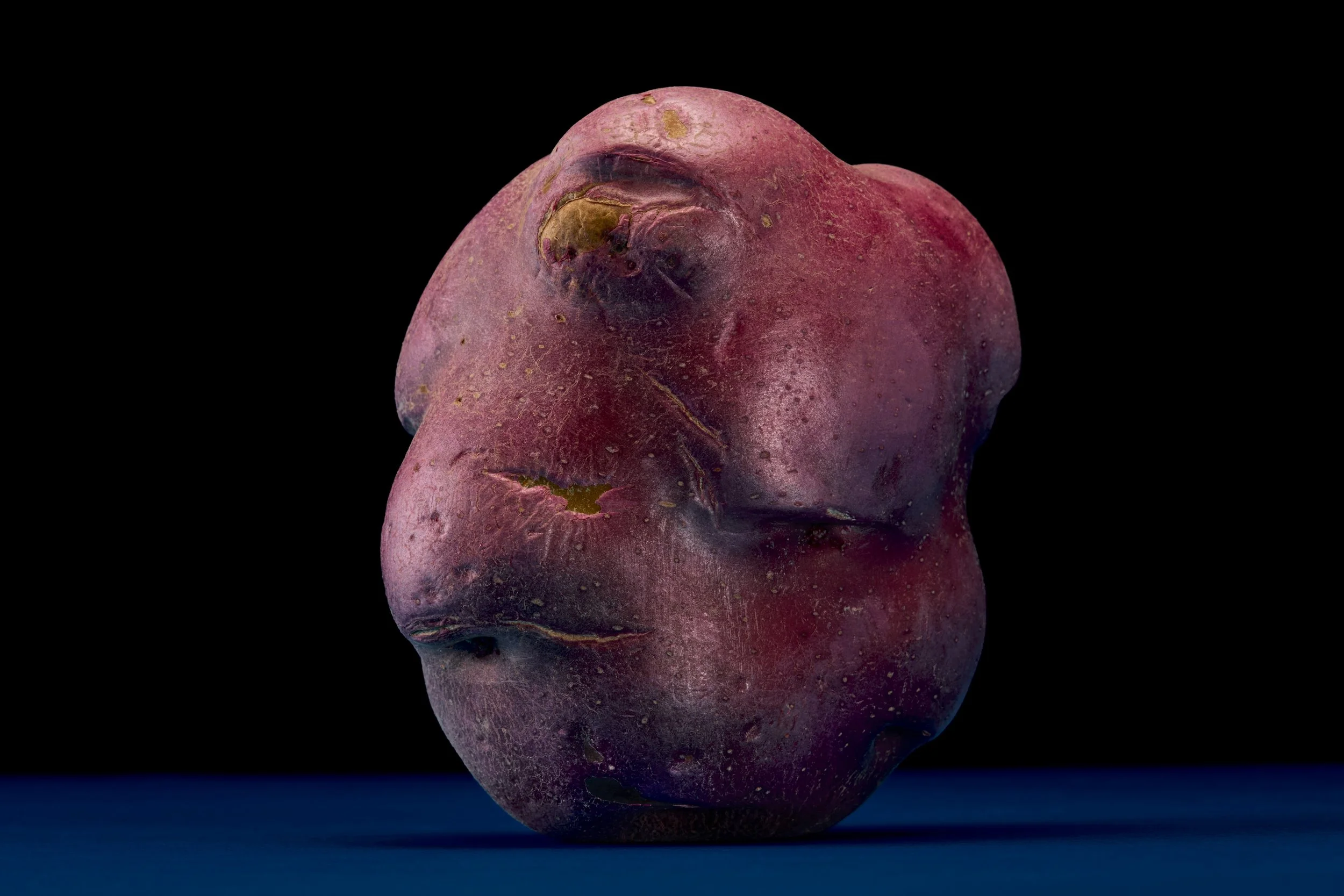 2026_1_27_Stilllife8836 1.jpg