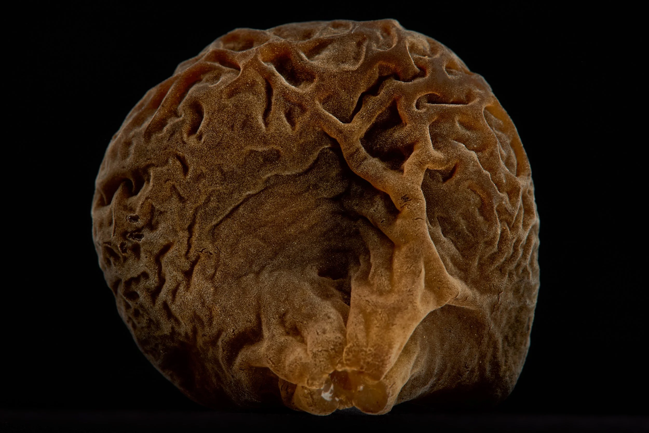 2025_8_15_VegetablesandFruit5400 1.jpg