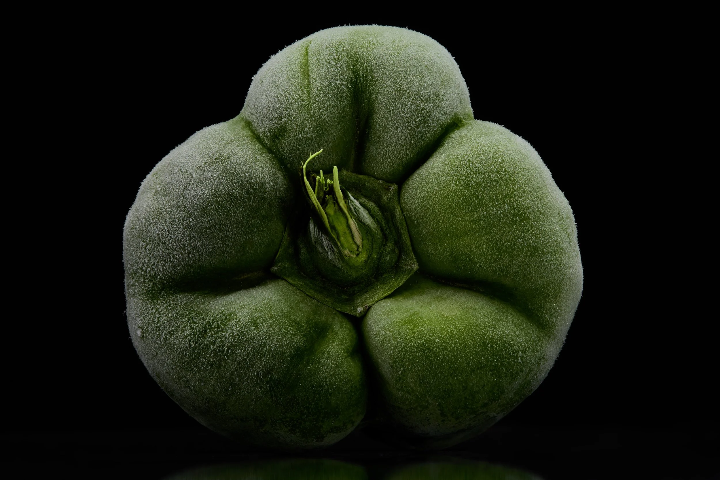 2025_7_29_Vegetables4423 1 1.jpg