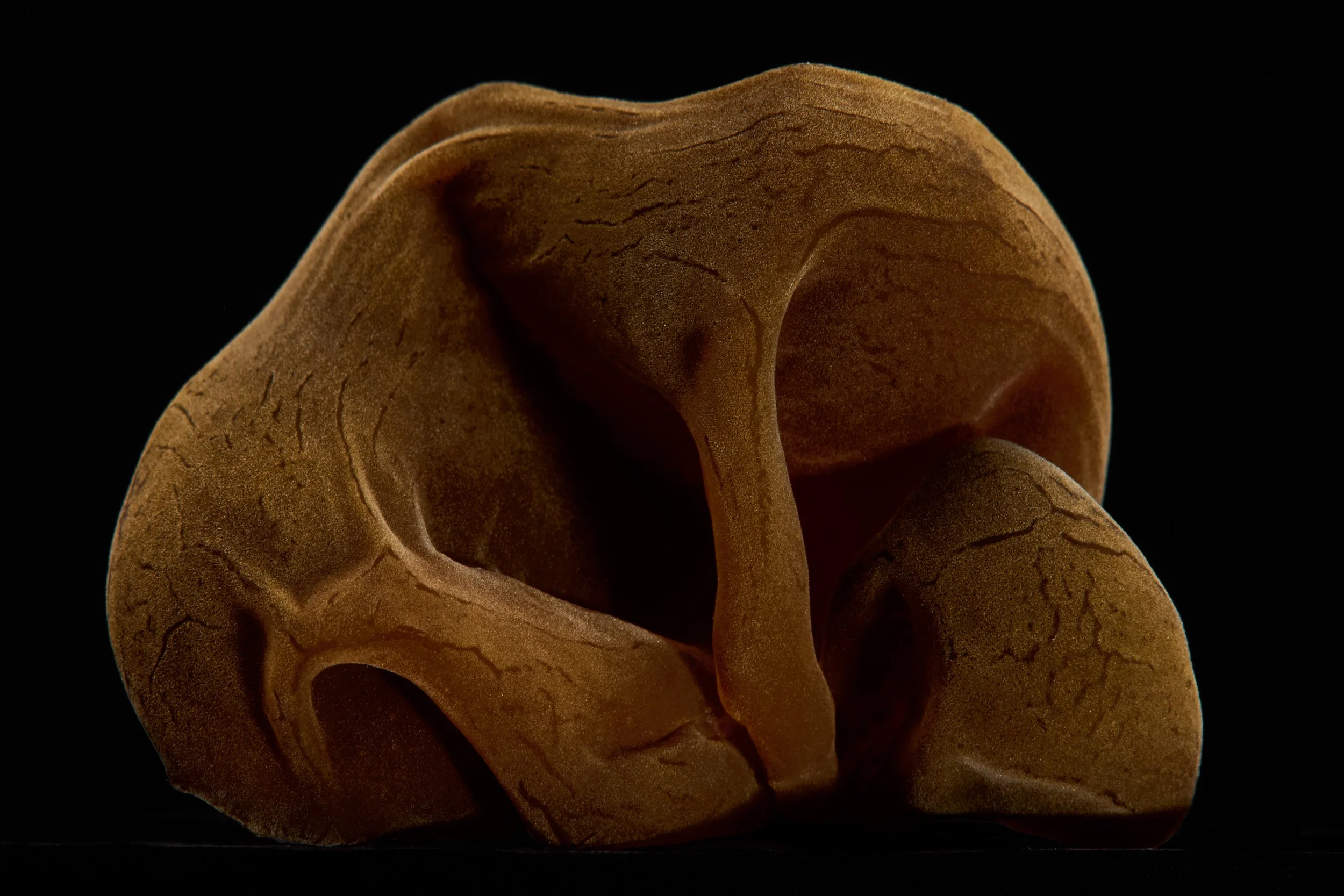 2025_8_15_VegetablesandFruit5390 2.jpg