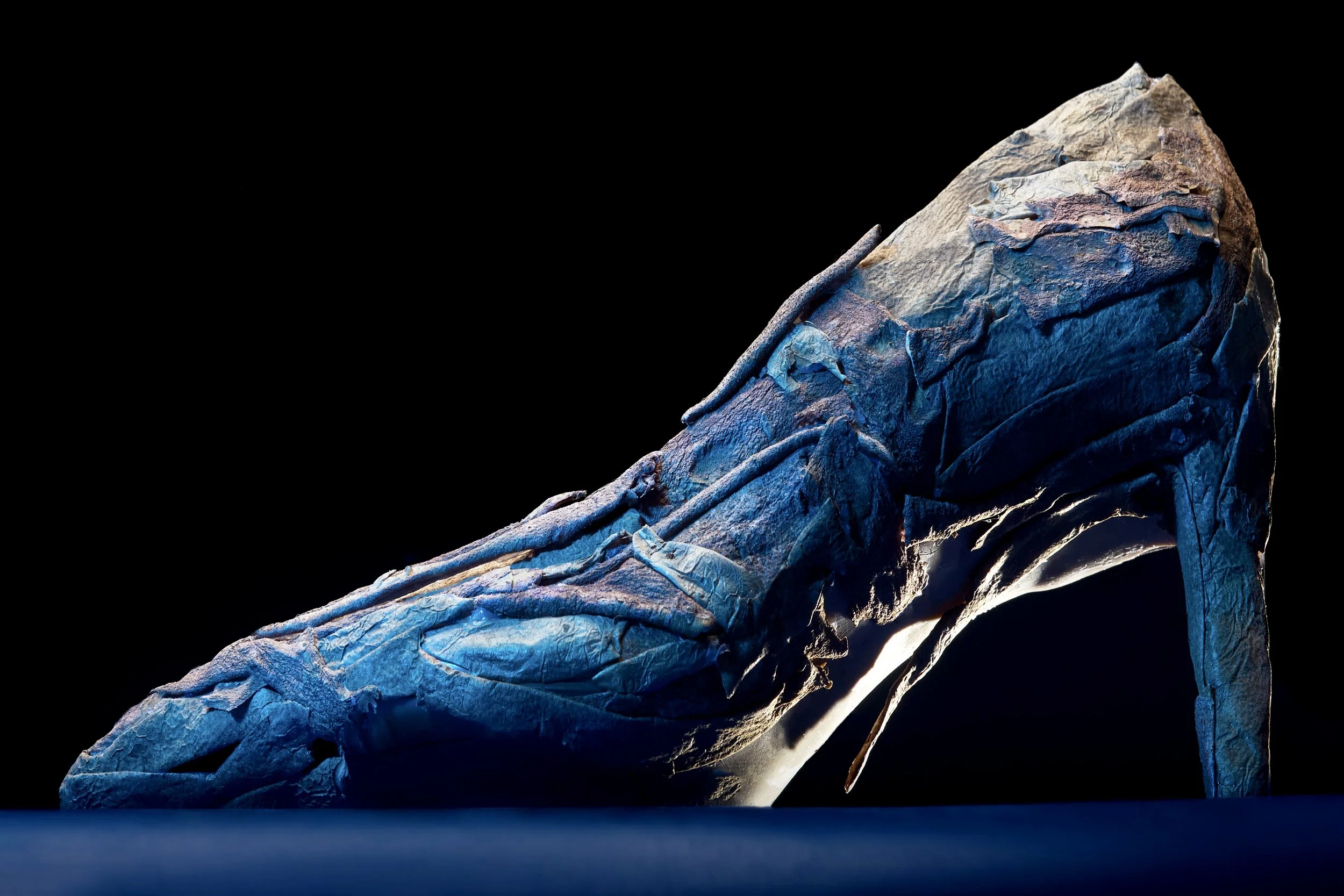 2016_1_16_Shoeflesh8037 1 1.jpg