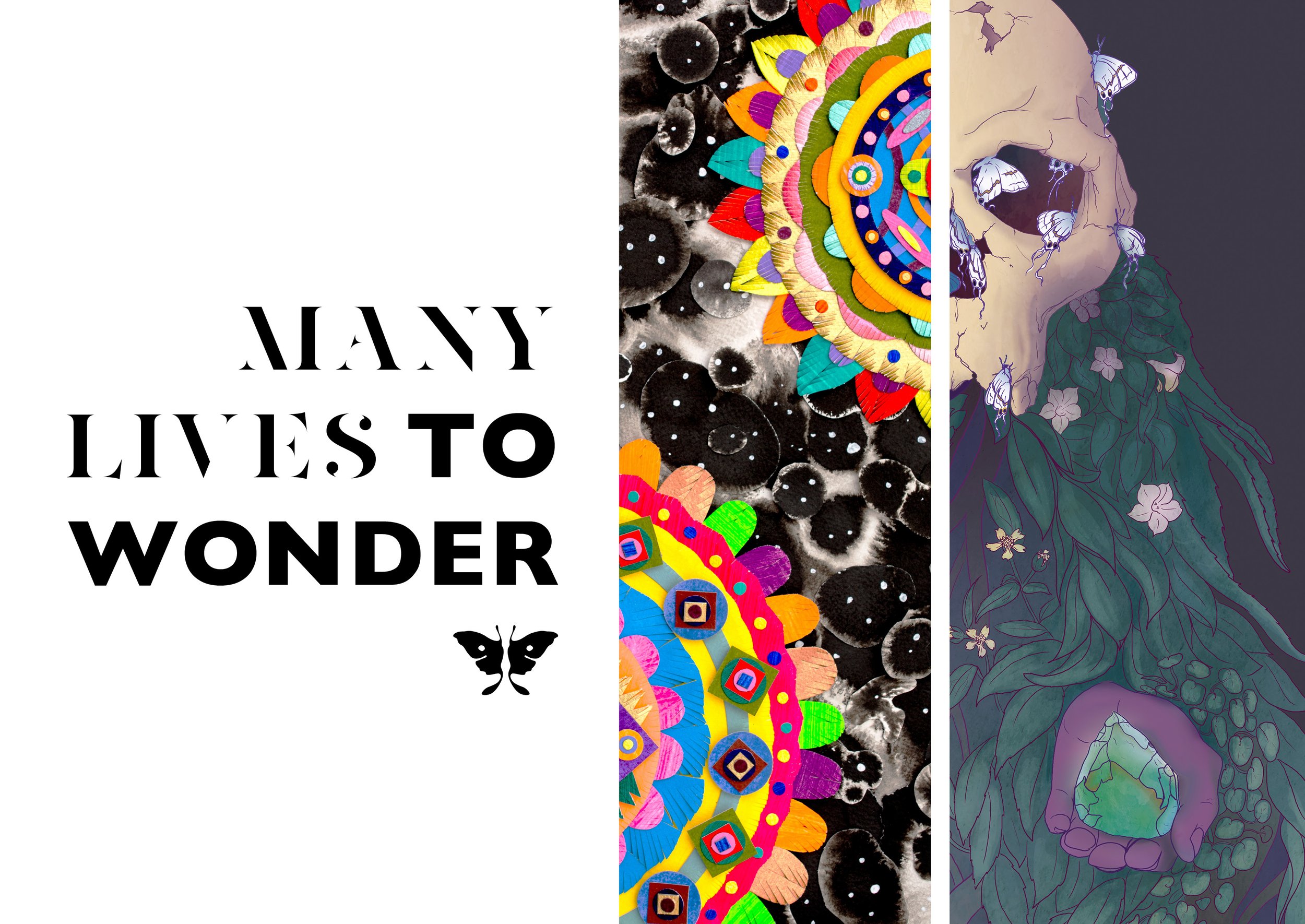 Many Lives to Wonder Postcard.jpg