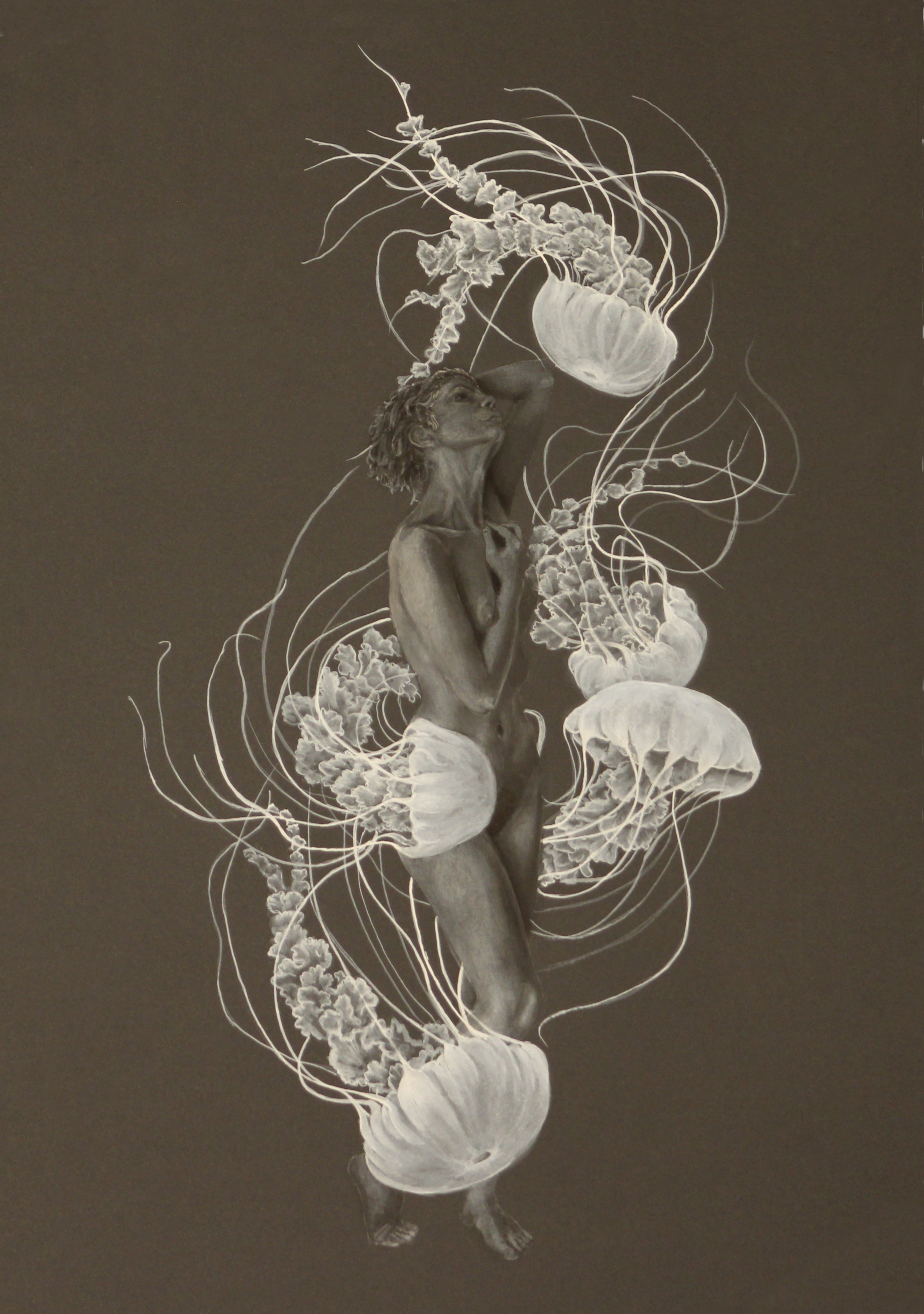 Dancing Jellyfish