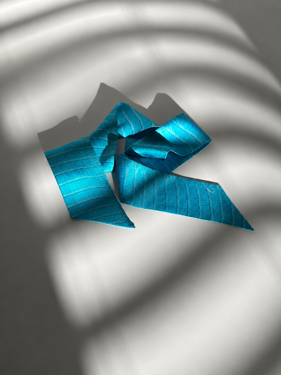 5794A8FF-E4F8-41D4-A5C2-035388222437.PNG