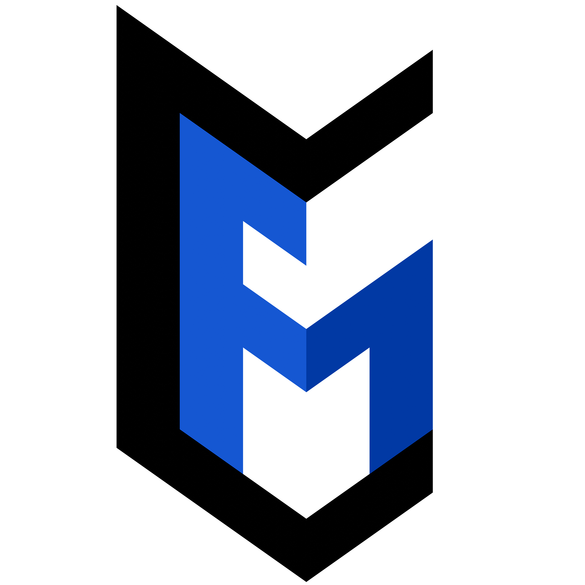 CFM logo.png