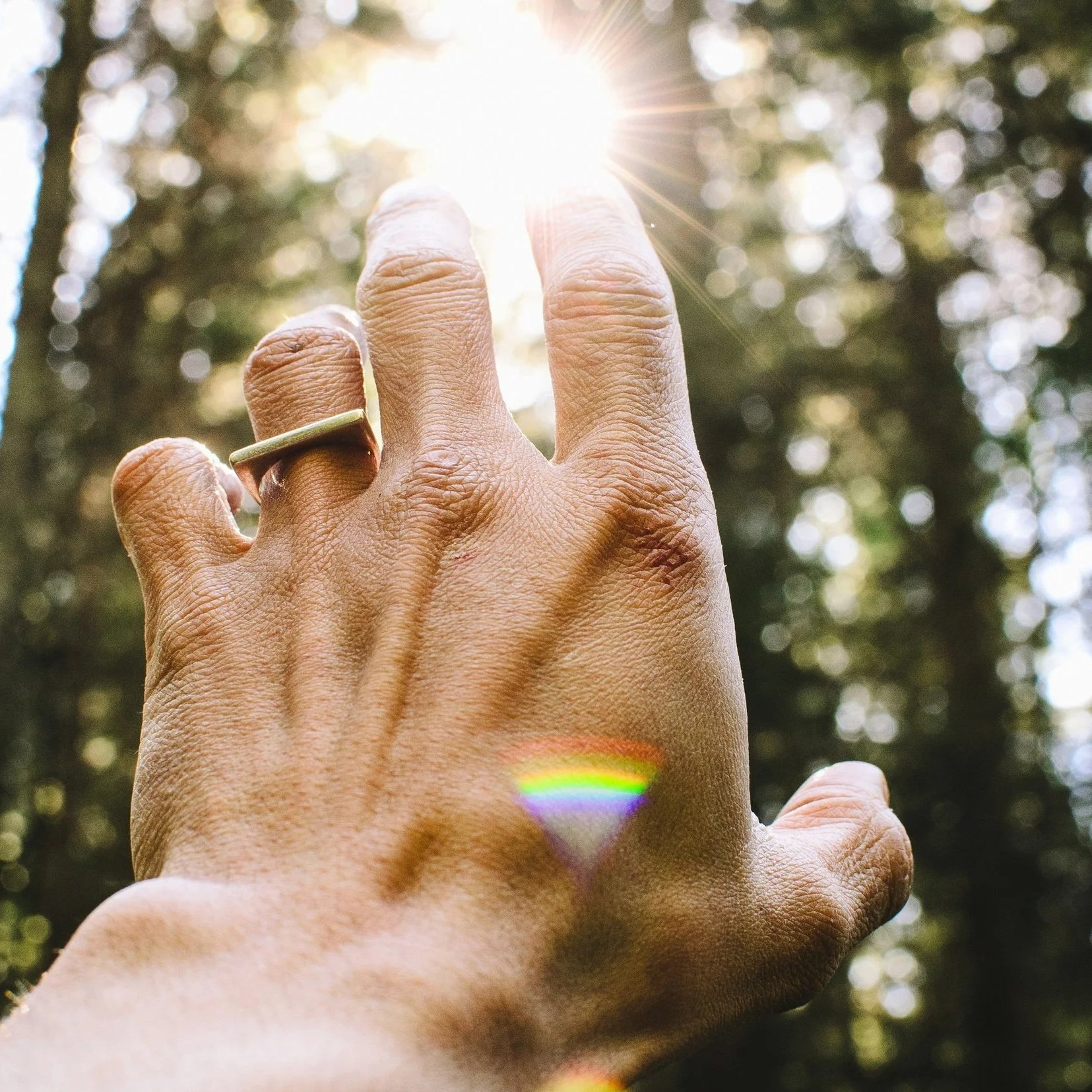 A person's hand reaching towards the sun in a forest, with sunlight creating a lens flare and a rainbow reflection near the hand.
