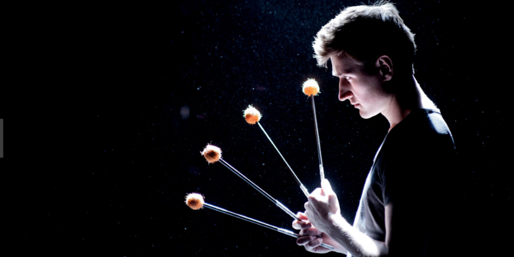 The Transformative Power of Targeted Philanthropy: A Case Study on Orchestra Wellington’s “Leviathan” Project