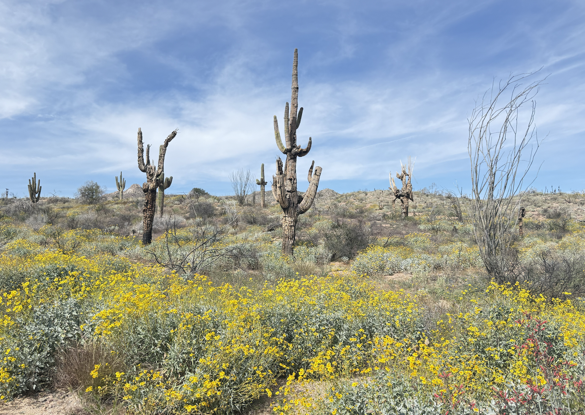 Best Bachelorette Party Hikes in Scottsdale &amp; Phoenix