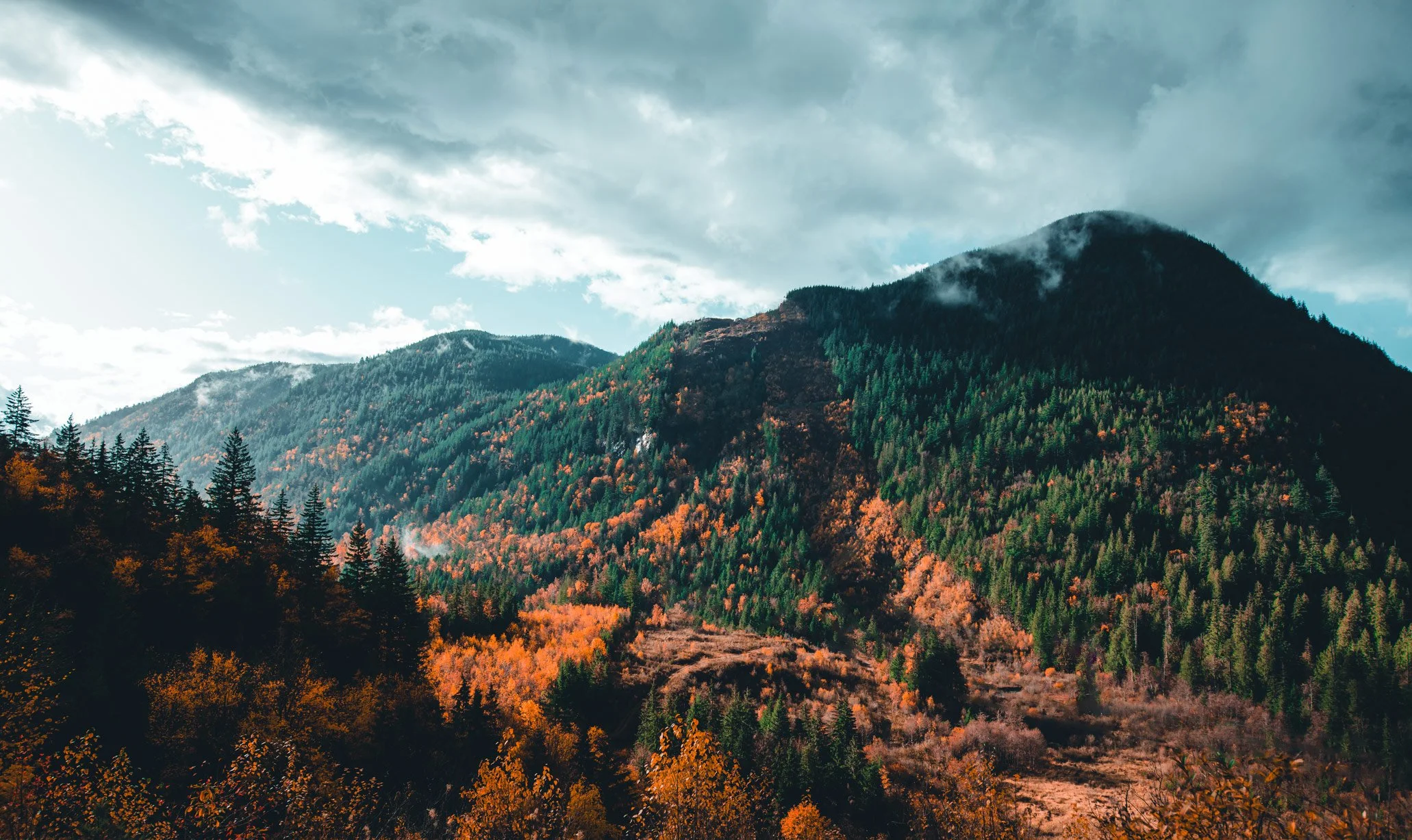 Mountain landscape with trees in autumn colors, cloudy sky, and a misty atmosphere.