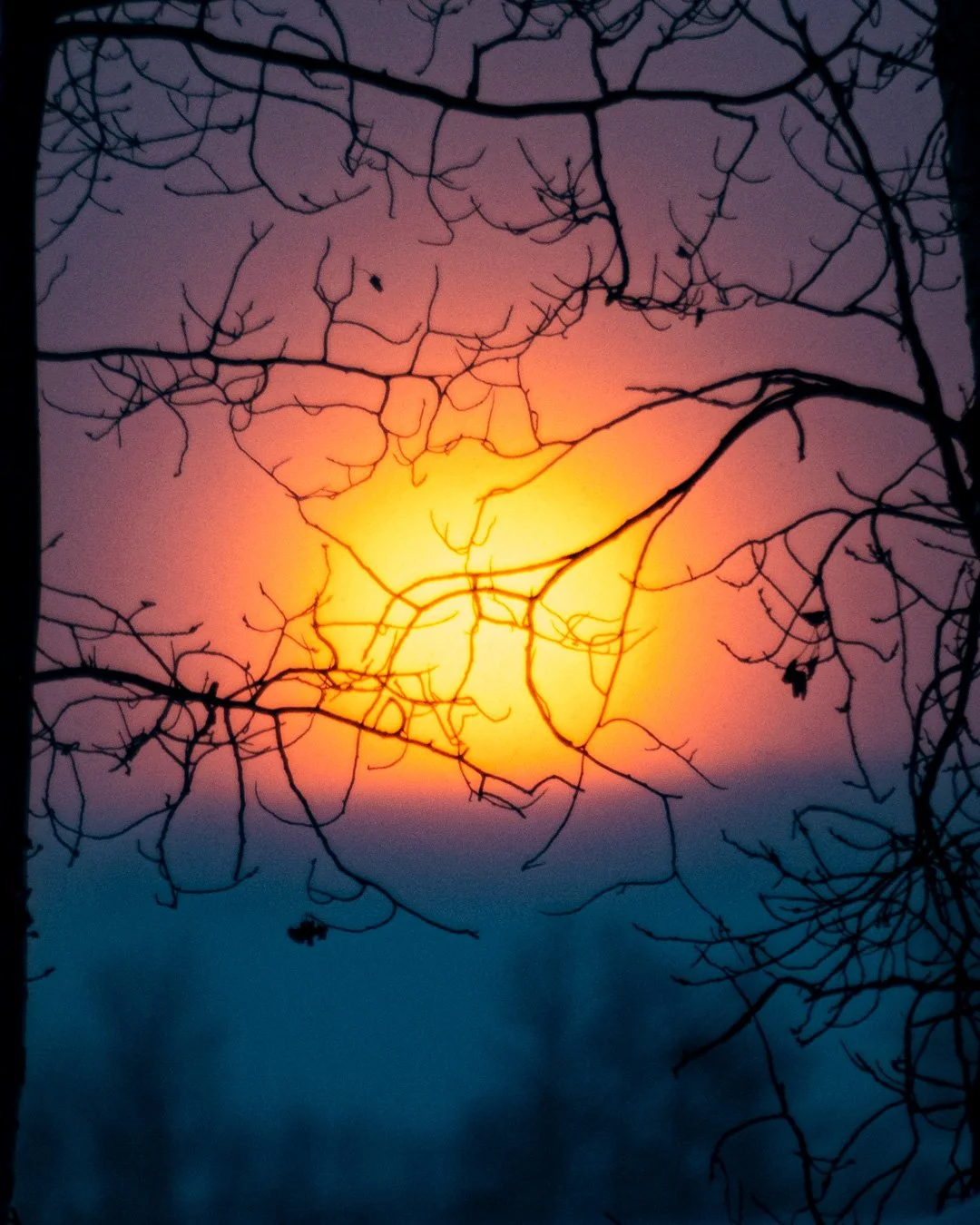 Sunset through the fog.