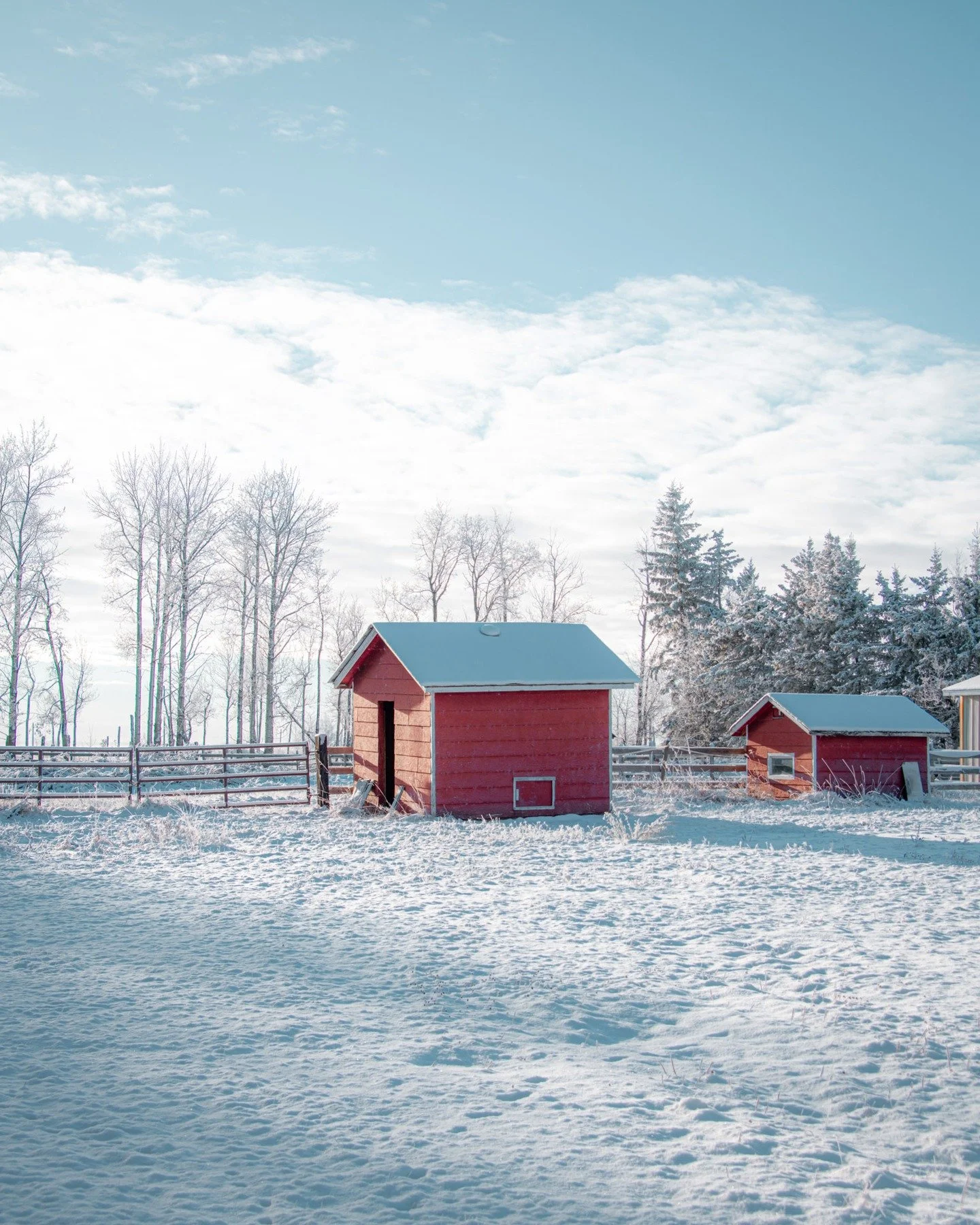 Some photos from early winter before the huge drop of snow.