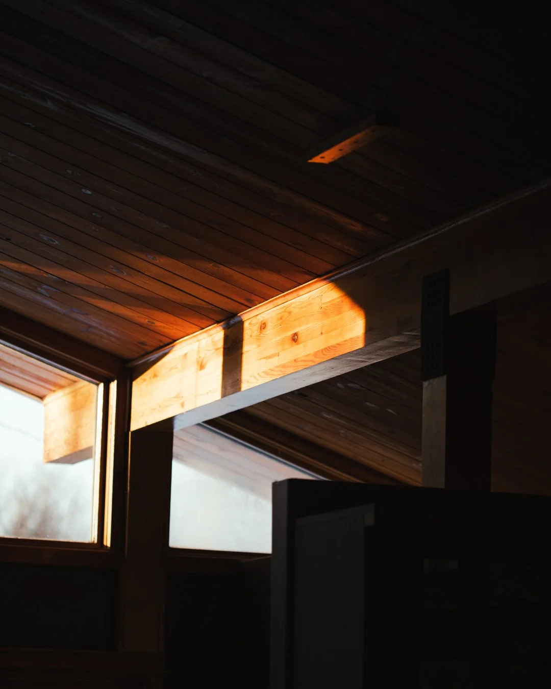 The sun just casually creating the most cinematic lighting.