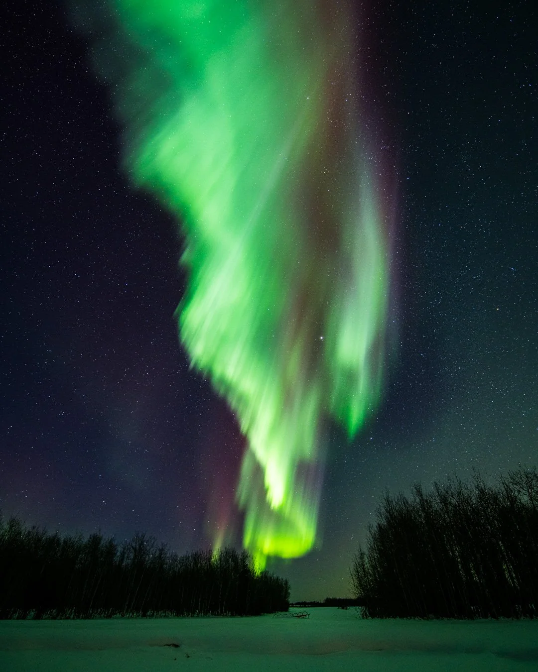 Northern lights glowing green and purple in a starry night sky over a snowy landscape with silhouetted trees.