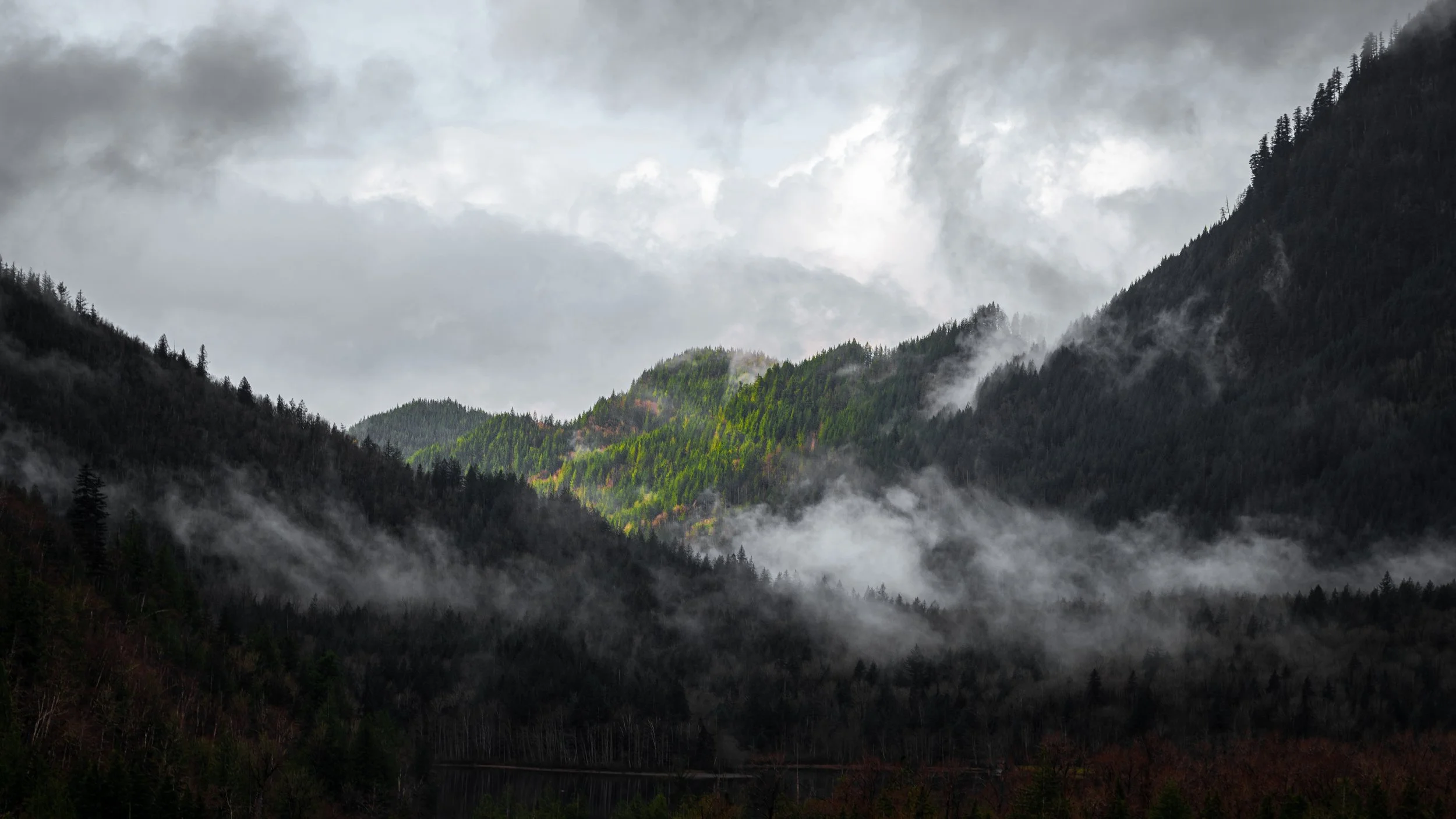 A foggy mountain landscape with lush green forests, dark mountains, and mist rising in the valleys under a cloudy sky.