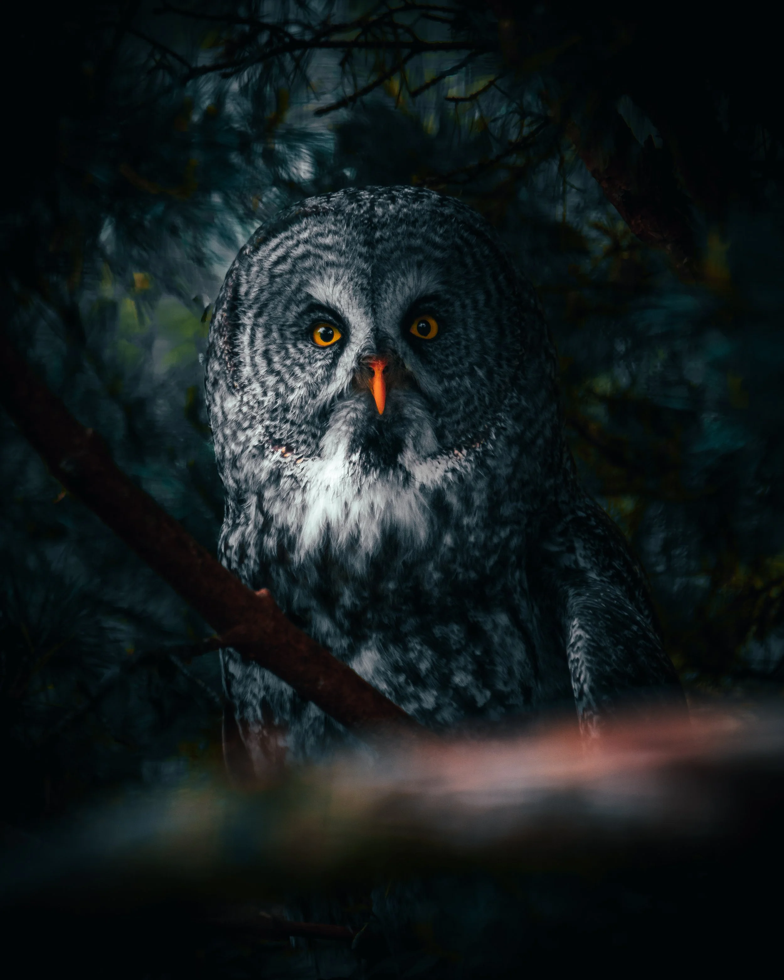 A close-up of a great horned owl with yellow eyes, perched among dark tree branches and foliage.
