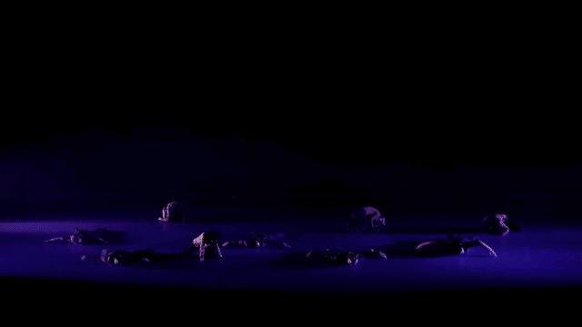 Reflection MC Gif-Animated Image (Large).gif