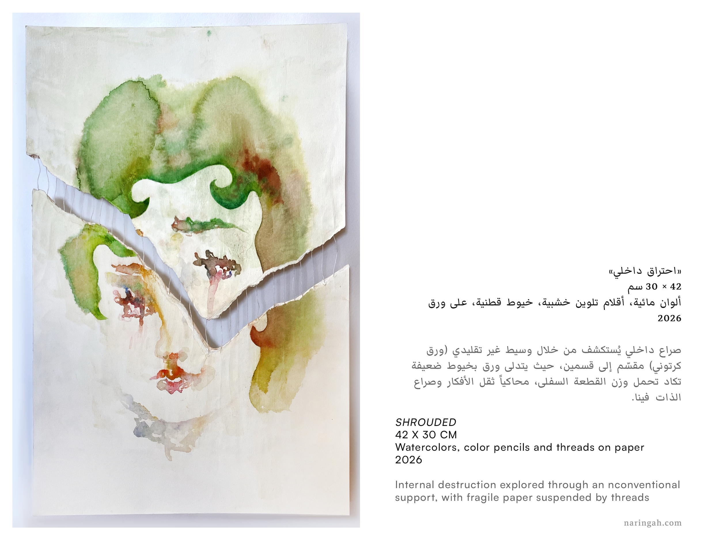 portfolio images_Shrouded_by_Naringah.png