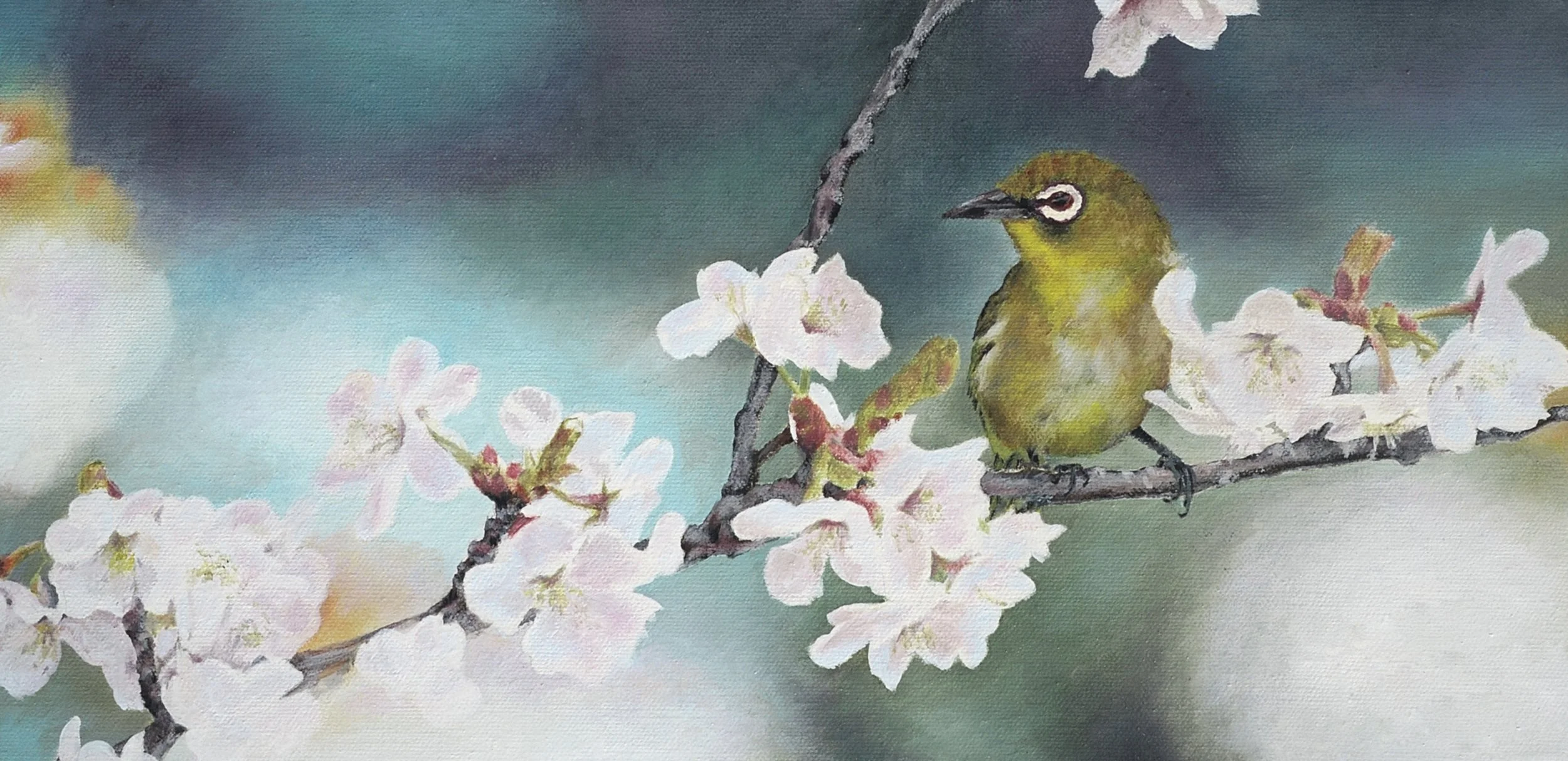 White Eye on Blossoms