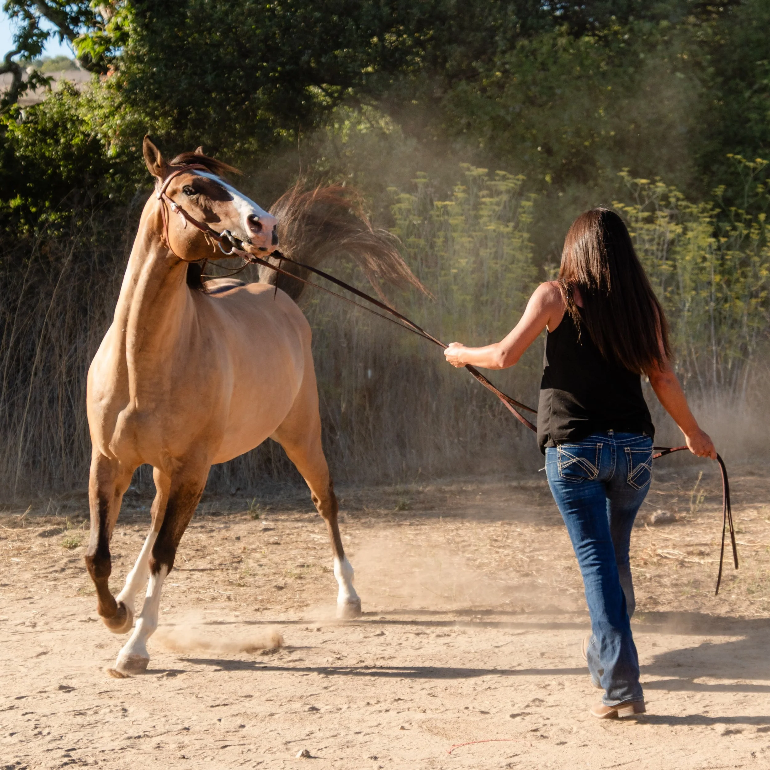 The outtakes might be my favorite part about a photoshoot!!

Sarah showing her horse who&rsquo;s boss around here!

📸 limited spots for the Fall season is still available!
DM or check the 🔗 in my bio to book now.

#horsleysphotography #candidphotog