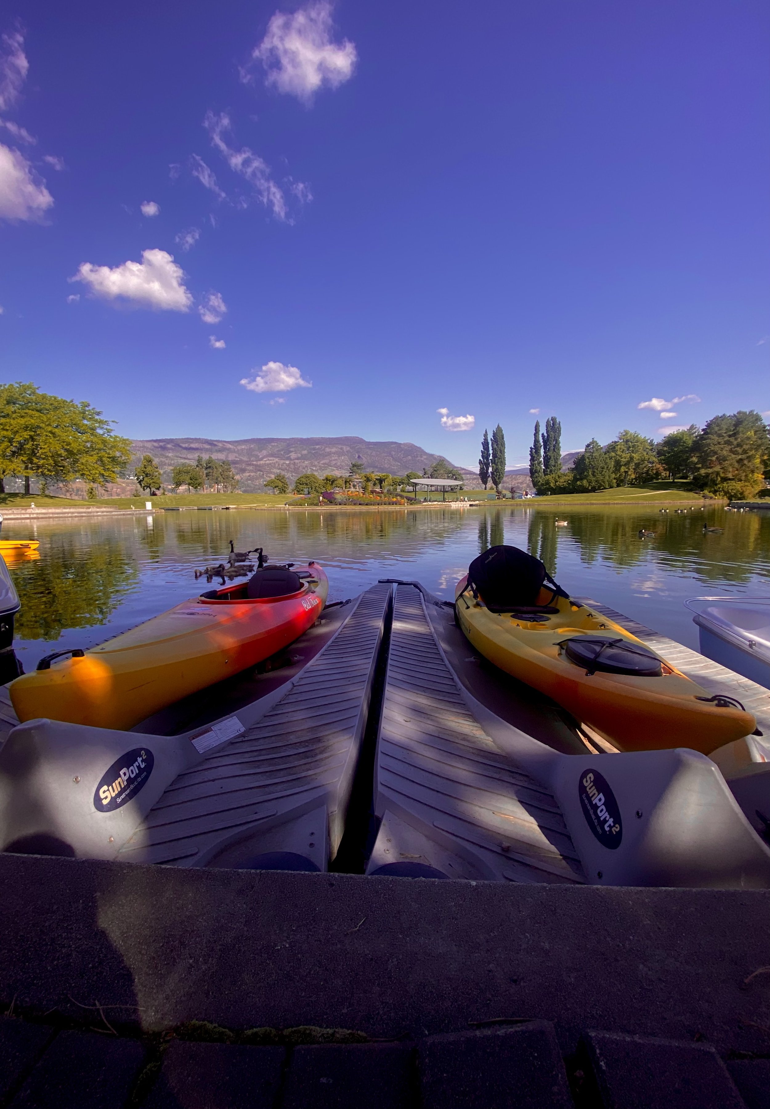 Photo Jun 03 2025, 9 06 05 AM.jpg