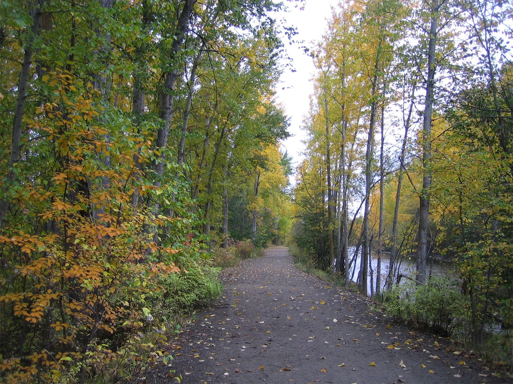 Kelowna’s 3 Best Bike Routes