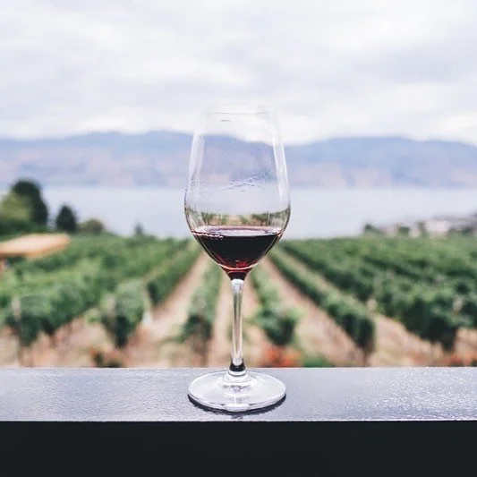 Are you hanging out for a cheeky glass of vino this Easter? We can help you get started 🍷 Win 6 bottles from our sponsor @thewinefarm 🍇 
#winefarm #gippslandwine #sponsor #winetime #prize #donate #raffle #charity #fundraiser #charityevent #excellen