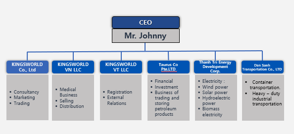 Organizational chart of Mr. Johnny as CEO, with subsidiaries including Kingsworld Co., Ltd., Kingsworld VN LLC, Kingsworld VT LLC, Taurus Co., and Dan Sah Transport Co., Ltd., detailing their respective business activities.