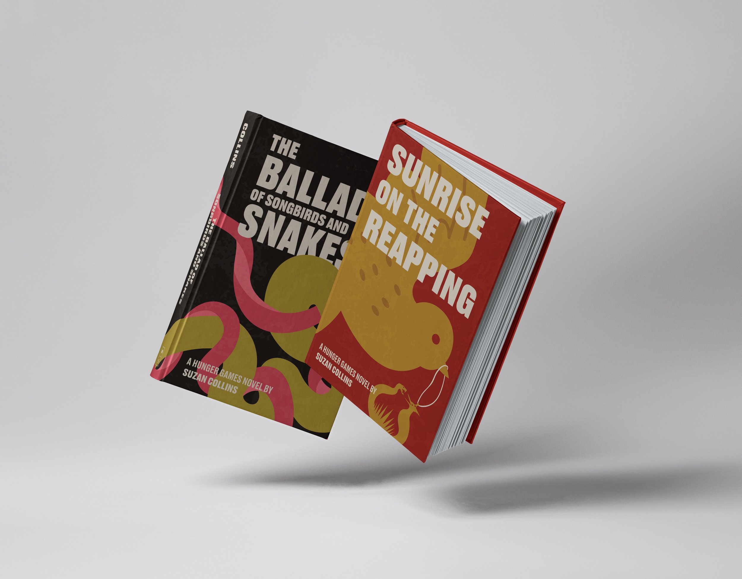 Book Jacket Redesign