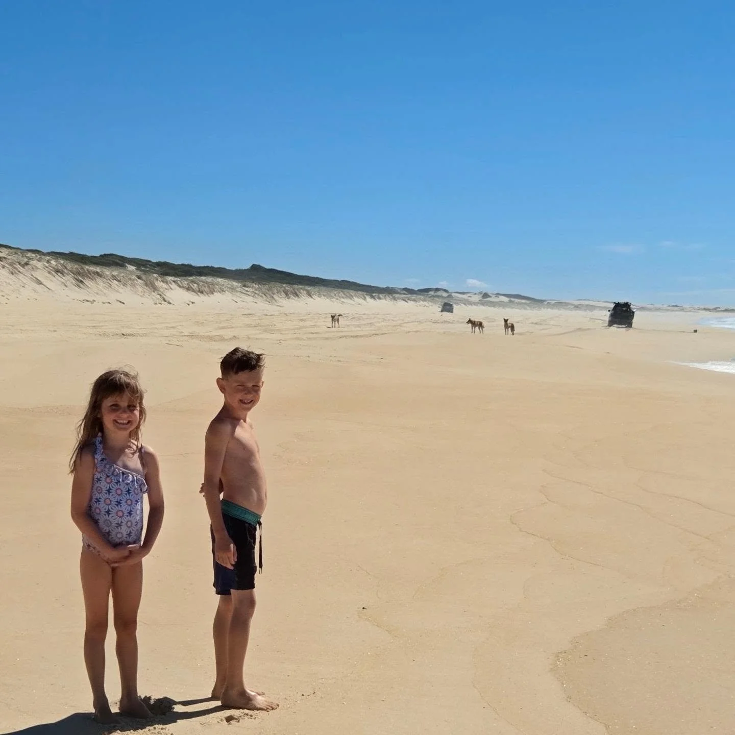 Dingos, dolphins, and driving on the beach. 
PEAK Australian getaway! ☀️☀️
Back to reality - with a car full of sand and a fresh appreciation for retinol.