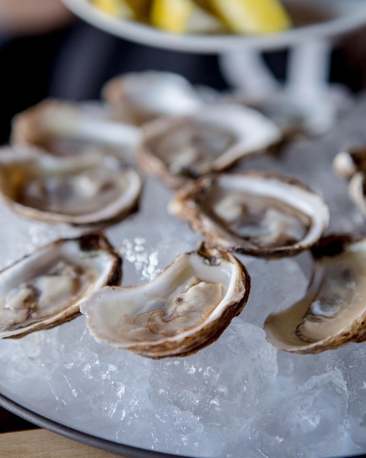 Can&rsquo;t wait for these baddies @preserveindulge