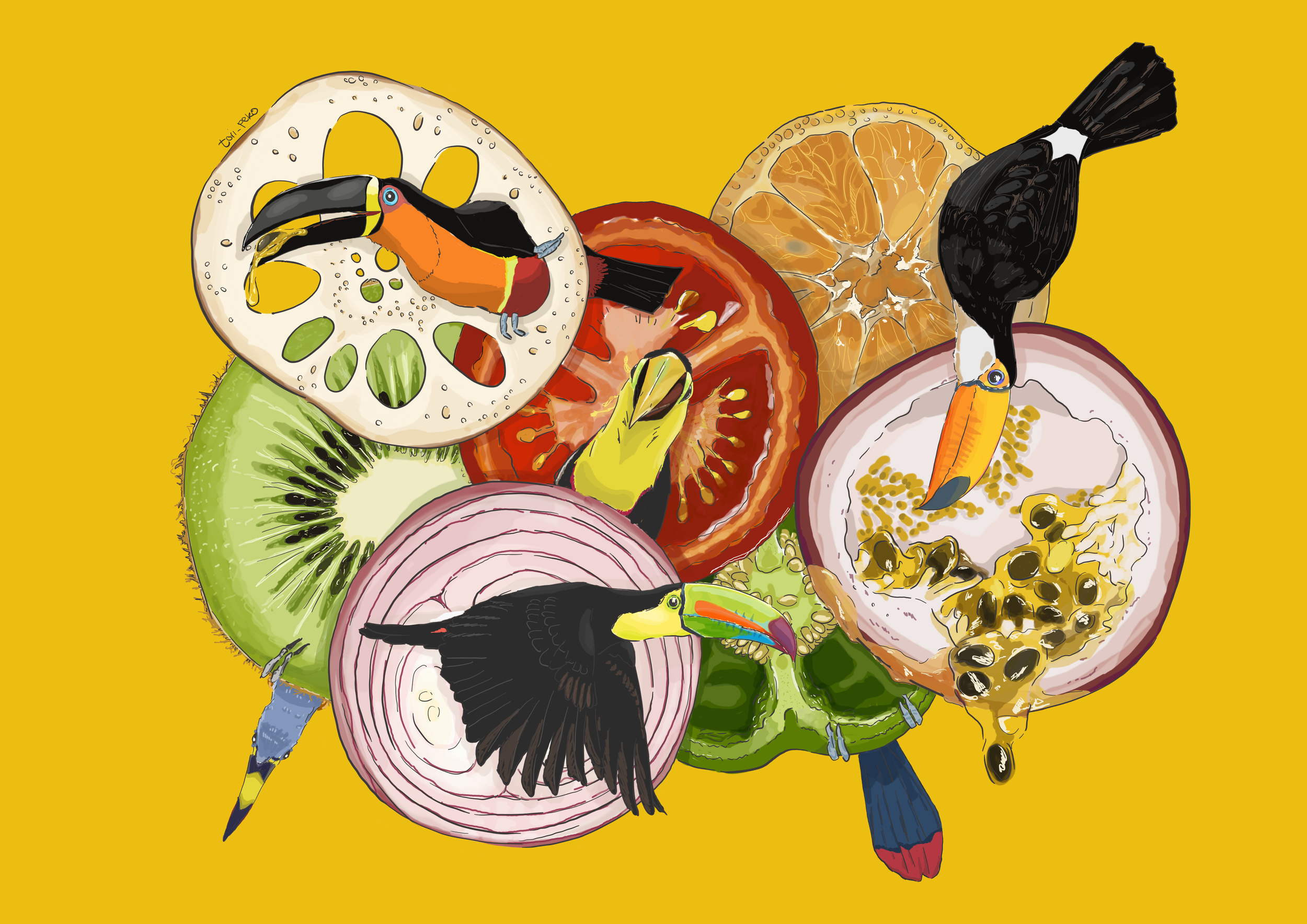 Cross-Sections, 2026