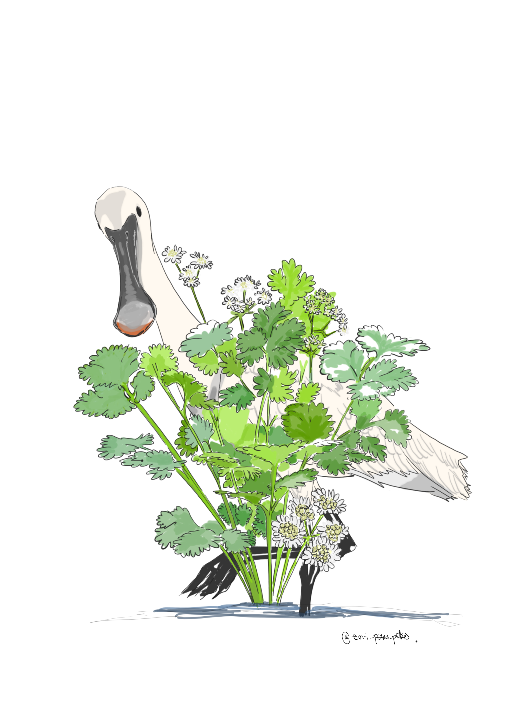A swan with a long neck standing behind a bunch of green herbs and white flowers.