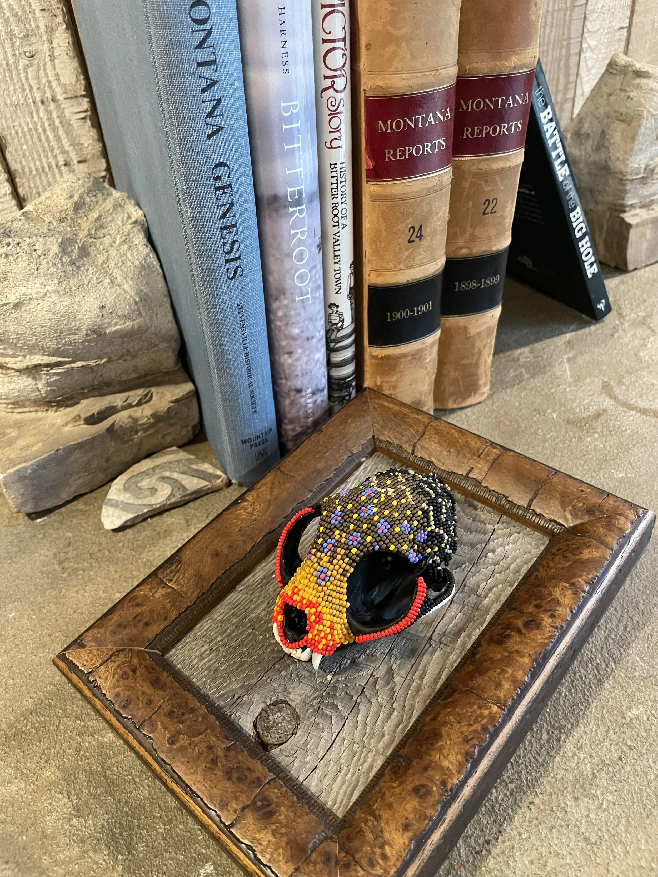 A brook trout beaded genuine bobcat skull on a custom frame, with books about Montana history and nature in the background.