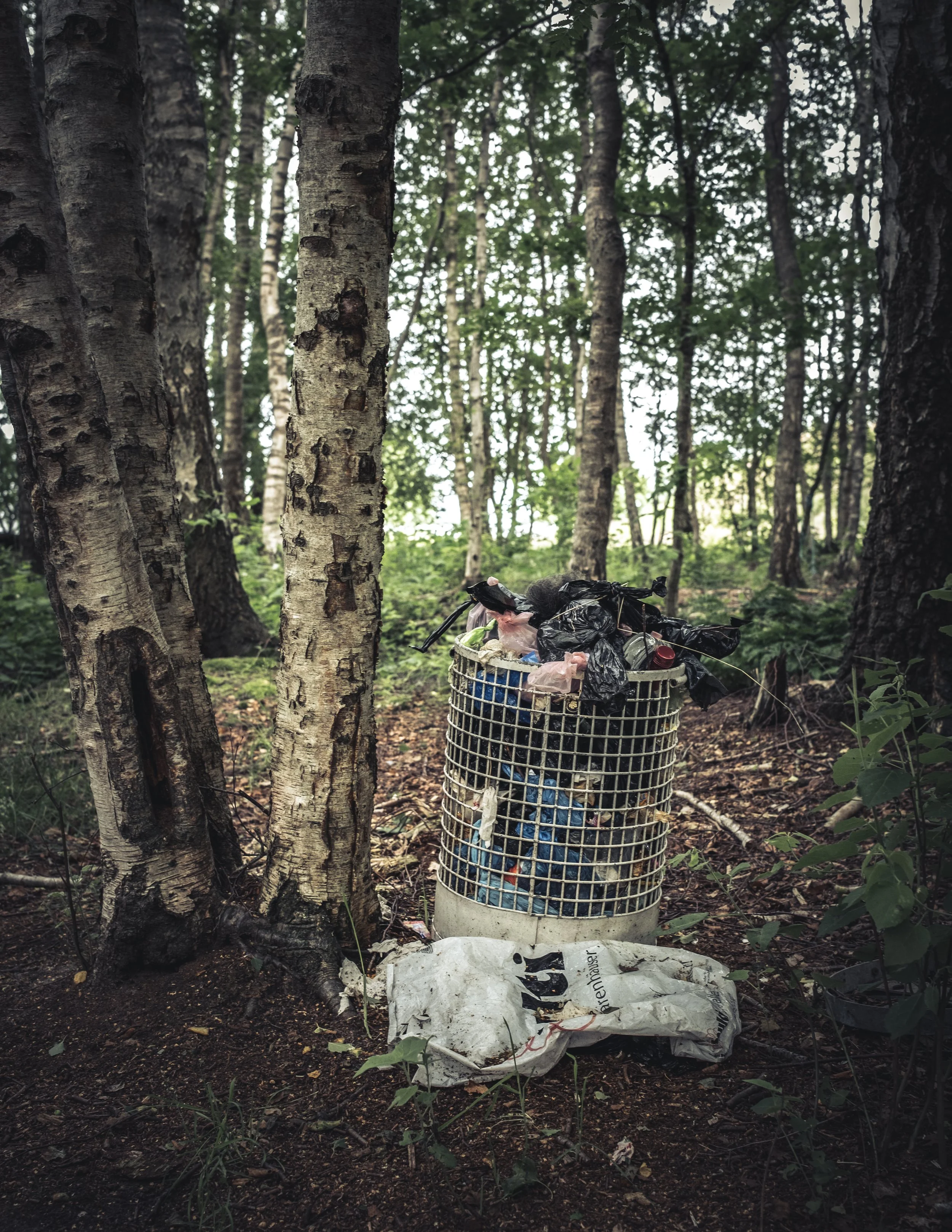 Verschmutzter Müllkorb in einem Wald mit Müll und Abfall umgeben.