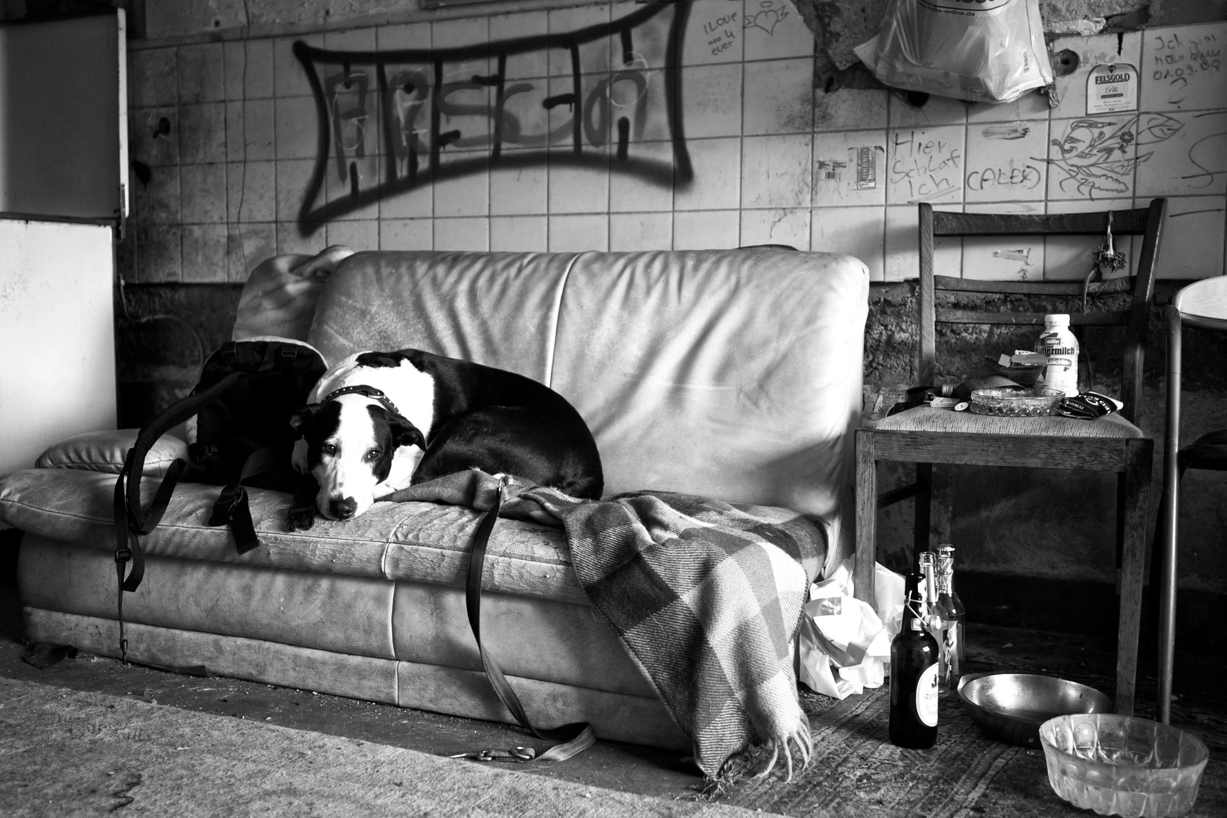 Ein Hund liegt auf einem alten, abgenutzten Sofa in einem schmutzigen Raum. Im Raum stehen zwei Stühle, auf einem liegen verstreut Gegenstände wie Medikamente, Flaschen und eine Kaffeetasse. An der Wand hängen Graffiti und handschriftliche Notizen.