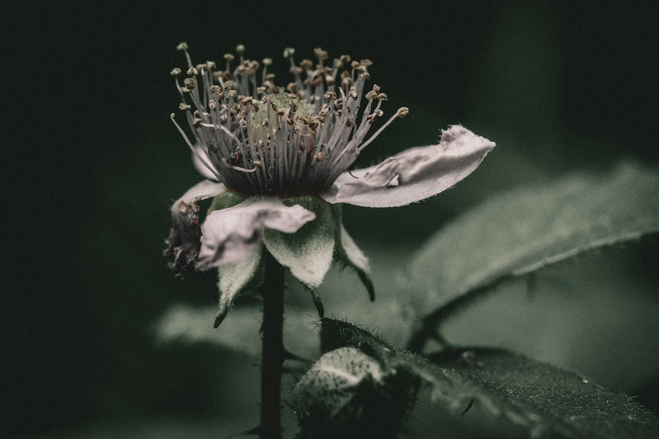 DSCF6120.jpg