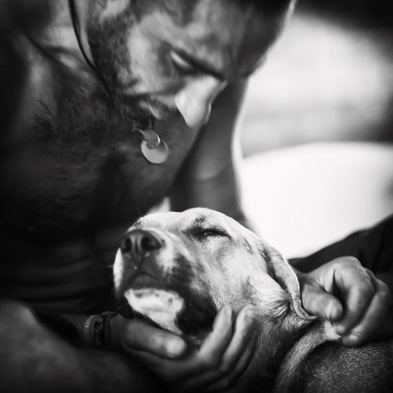 Ein Mensch hält ein schlafendes Hundejunges in den Armen, das Tier ist entspannt.