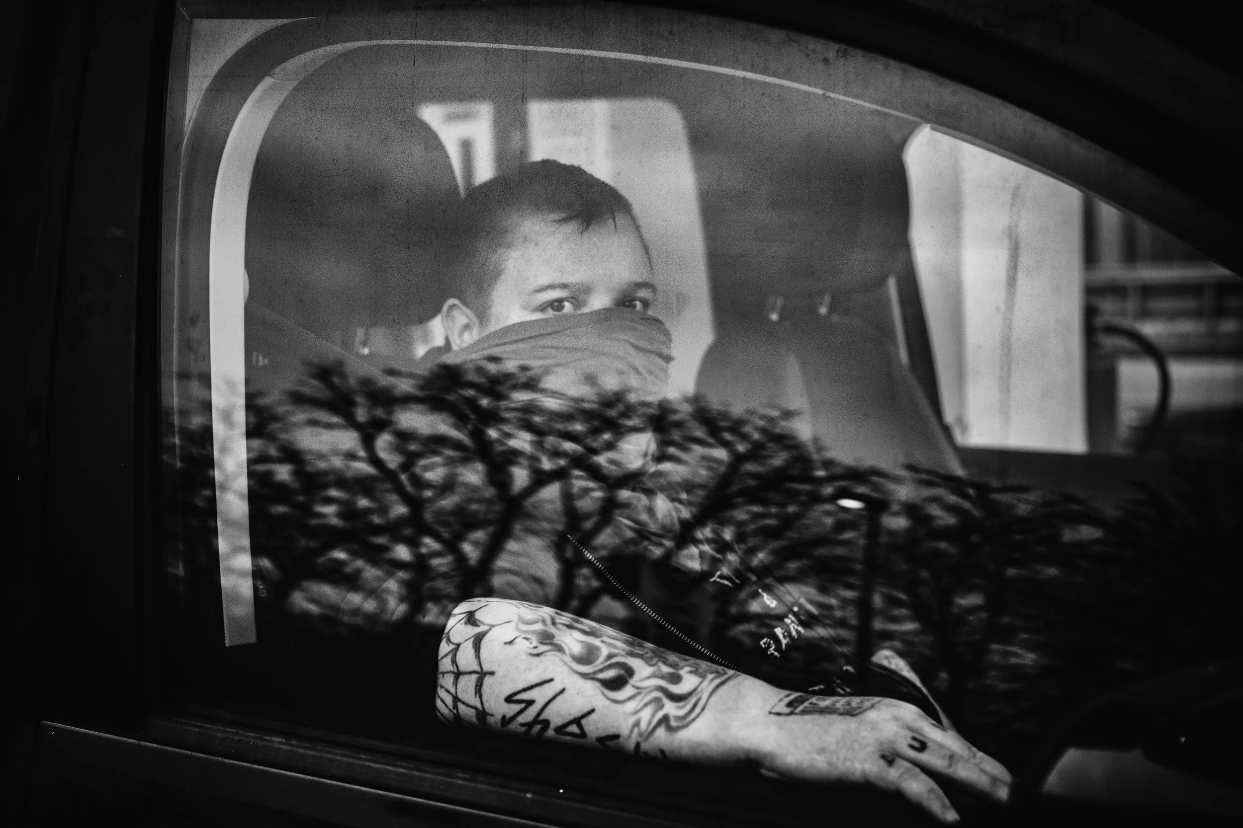 Die Geschichte zum Bild