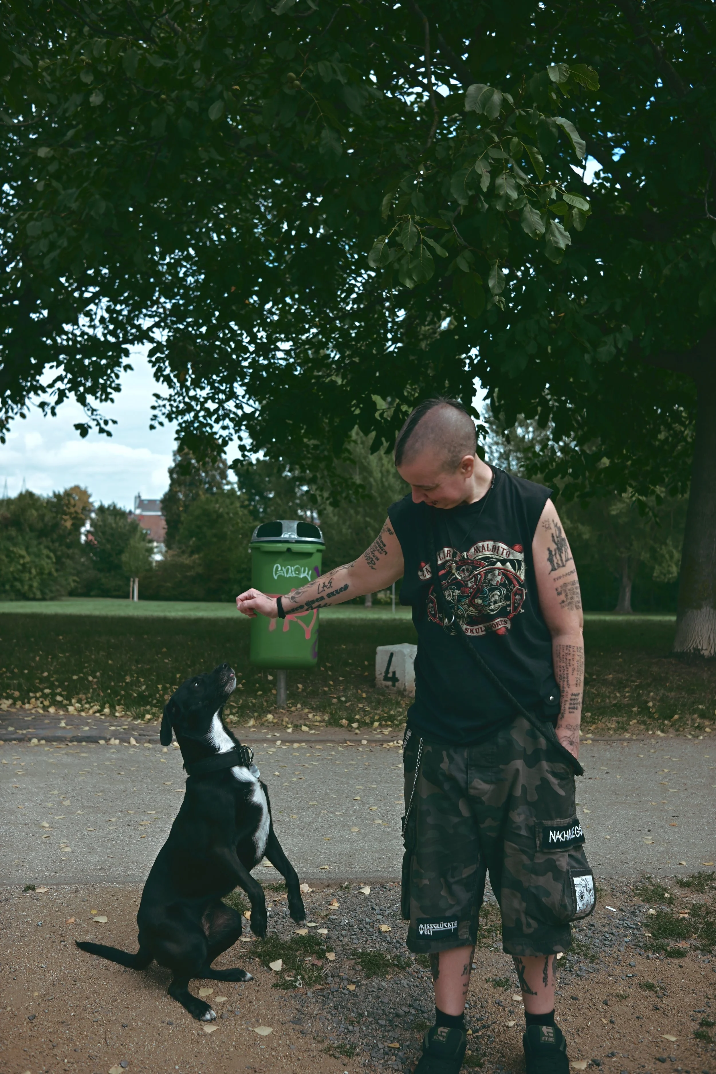 Ein junge mit tätowierten Armen, stehend vor einem schwarzen Hund, der auf den Hinterbeinen sitzt und den Blick auf den Mann richtet. Der Mann trägt eine schwarze Weste, Camouflage-Shorts und schwarze Schuhe, steht auf einem Gehweg in einem Park unte