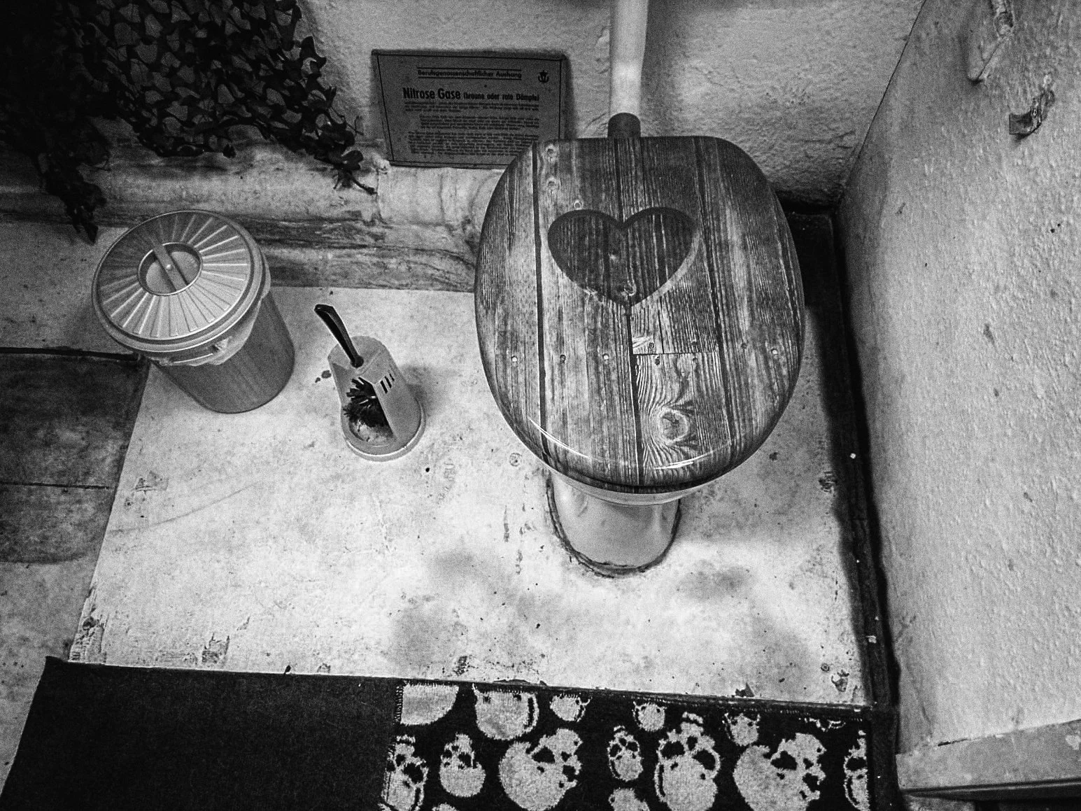 Schwarzer und weißer Raum mit Toilettendeckel, auf dem ein Herz gemalt ist, Toilettenbürste, Mülleimer, Gemälde und Teppich im Vordergrund. Der Boden ist teilweise nass und schimmlig