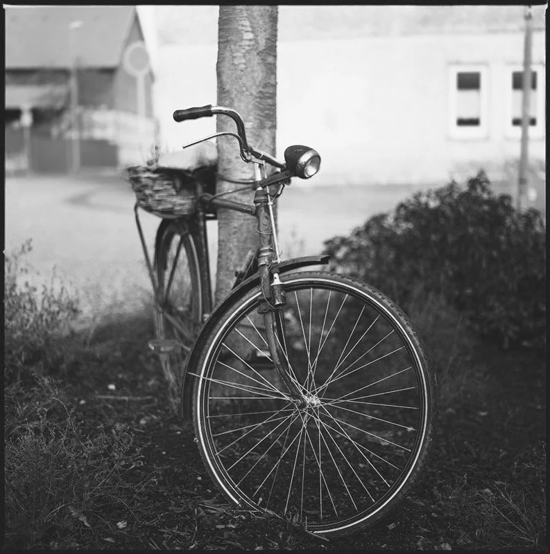 Ein altes Fahrrad mit Korb, das an einem Baum lehnt, in Schwarz-Weiß fotografiert.