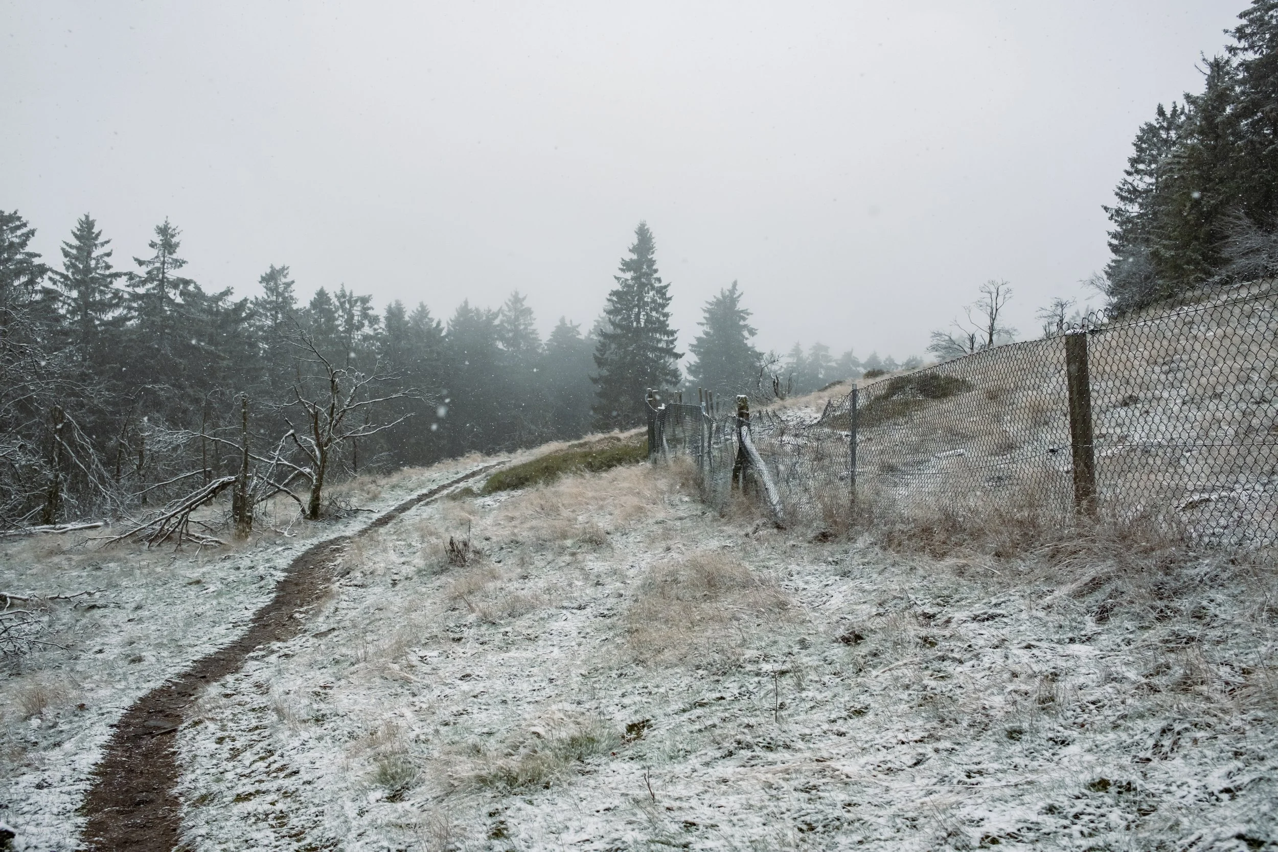 Ein verschneiter Weg neben einem Drahtzaun, umgeben von Tannenbäumen, unter bewölktem Himmel.