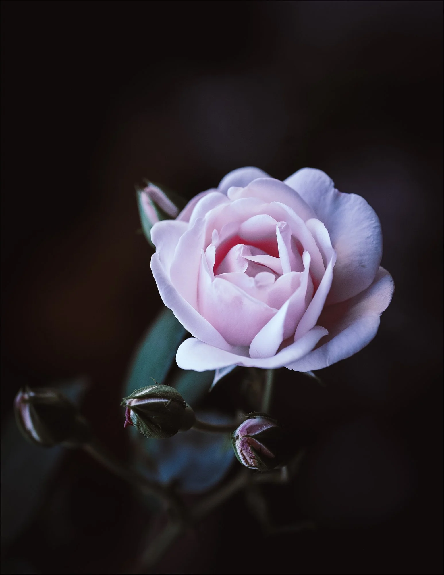 DSCF5838.jpg