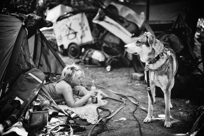 Ein obdachloser Mensch liegt in einem Zelt mit einem Hund bei einem Campingplatz. Das Umfeld ist chaotisch und unordentlich, mit Müll und Kartons im Hintergrund.