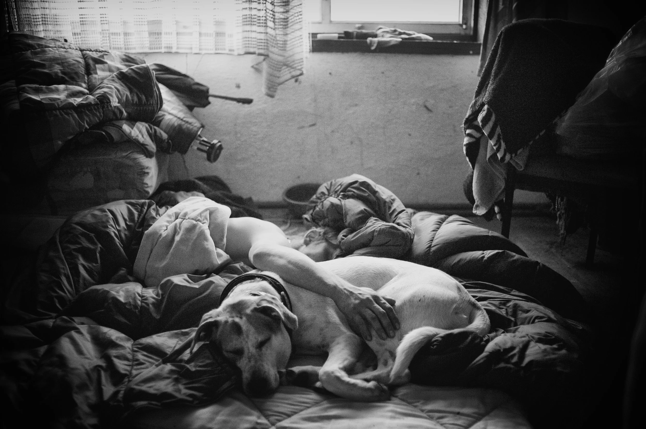 Ein Hund liegt entspannt auf einem Bett, während eine Person neben ihm schläft. Das Zimmer wirkt chaotisch, mit aufgeschichteten Kleidern und Laken, nur schwach beleuchtet durch Tageslicht durch ein Fenster.