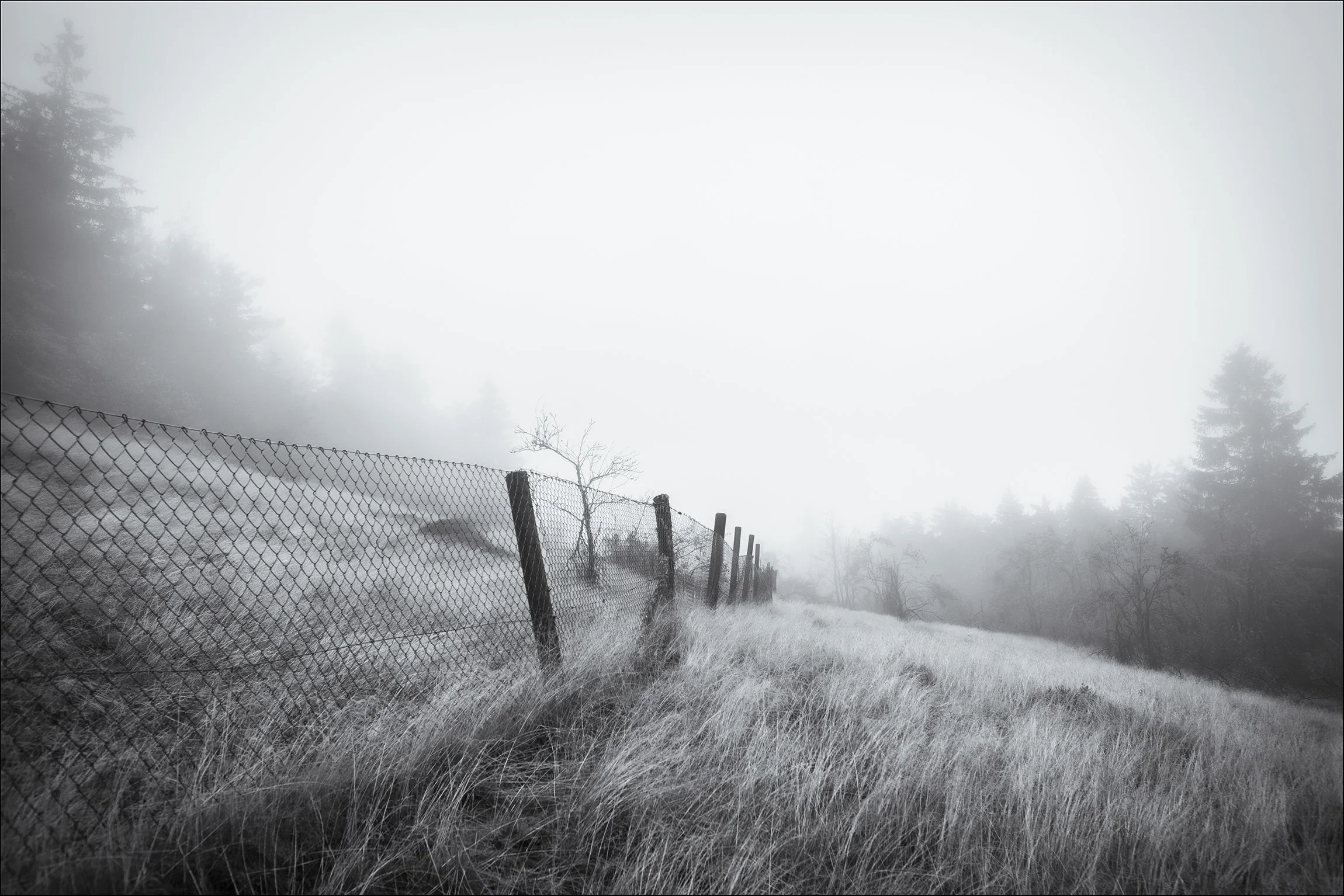Nebeliger Hügel mit einem schwarzen Metallzaun und schneebedeitem Gras, Bäumen im Nebel im Hintergrund, schwarz-weiß