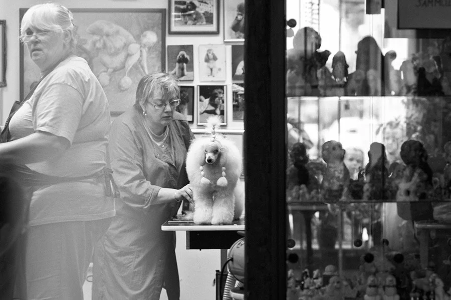 Zwei Frauen in einem Laden mit Katzen- und Hundeartikeln, eine davon besteht darauf, einen weißen Pudel zu fotografieren, während andere Kunden im Hintergrund einkaufen.